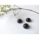 OMBLIGUERA OBSIDIANA