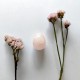HUEVO de CUARZO ROSA 